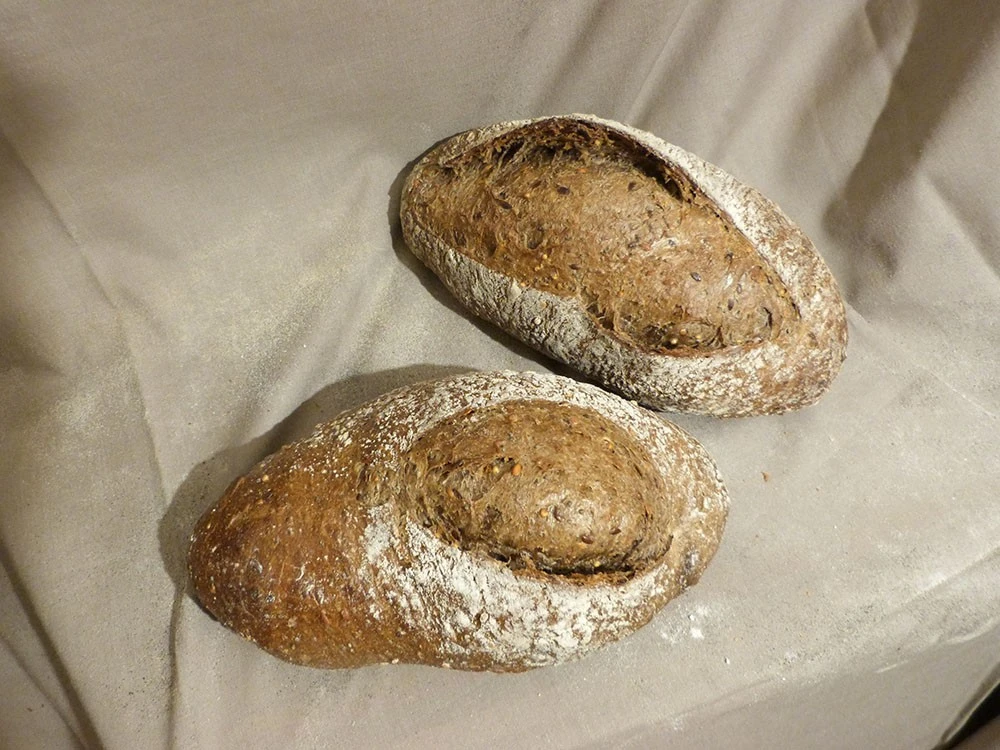 batard_parisse_brune_2