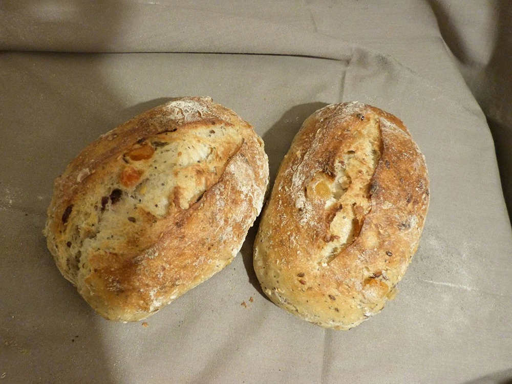 pain_aux_fruits_1